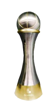 Liga 1ª División
